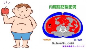 リンゴ型肥満は糖尿病になりやすい内臓脂肪型肥満