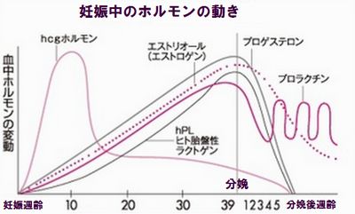 妊娠糖尿病は食事と運動で治る 糖尿病は食事で治る