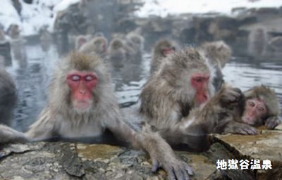糖尿病には炭酸温泉が良い