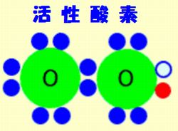 活性酸素は糖尿病合併症の原因
