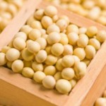 大豆コングリシニンは肥満や糖尿病に良い