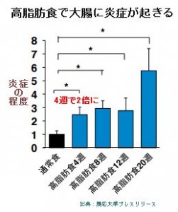 腸の炎症によるインスリン抵抗性が糖尿病の原因と慶応大学が発表