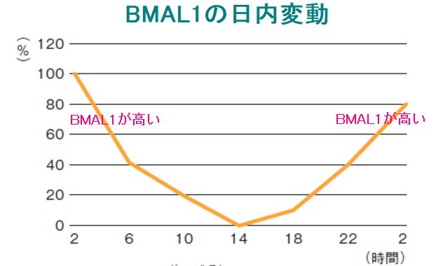 夜遅く食べても肥満や糖尿病を防ぐ秘けつ