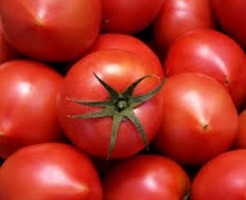 トマトには血糖低下作用がある