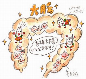 レジスタントスターチで糖尿病の血糖値が下がる