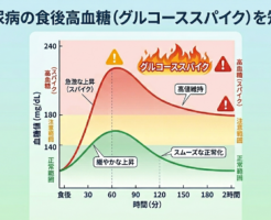 食後高血糖グルコーススパイク