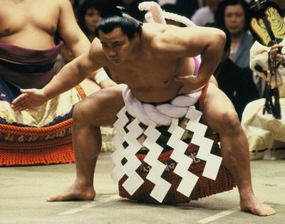 九重親方のすい臓がんと糖尿病の関係