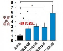 インスリン抵抗性が糖尿病の原因と慶応大学がプレスリリース