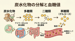 食後高血糖を防ぐにはGI値の低い食べ物