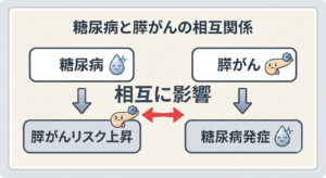 糖尿病と膵臓がんの関係