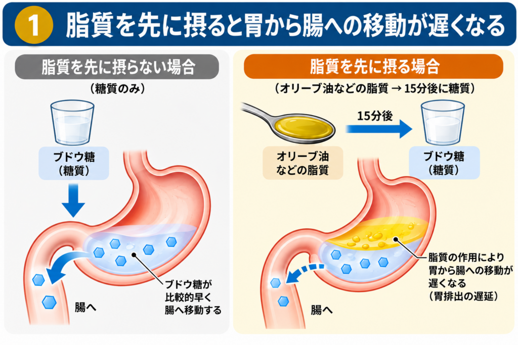 「食べる順番」で食後高血糖が変わるメカニズムを解明｜京都大学